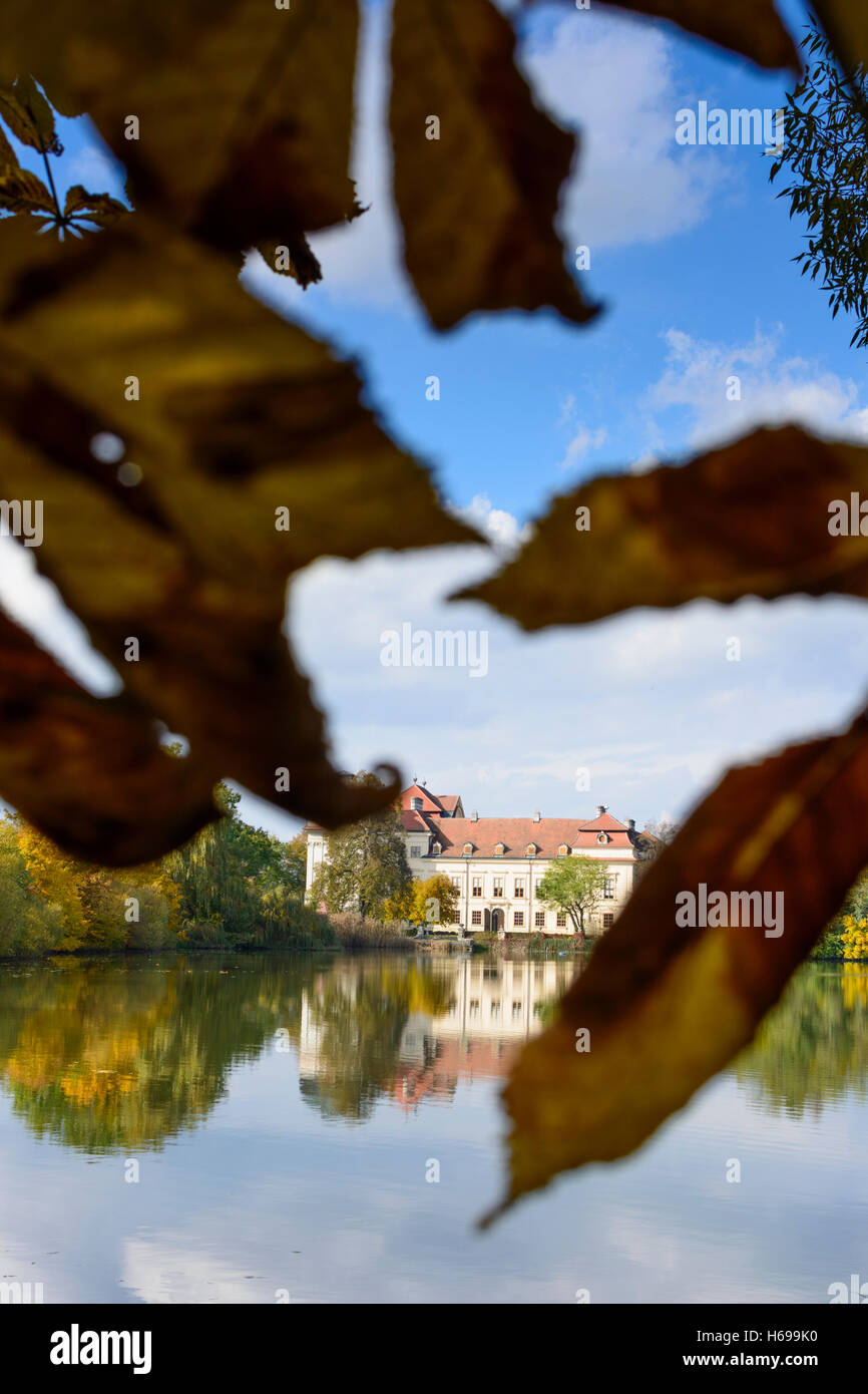 Hardegg Riegersburg castle, pond Oberer Teich, leaf of chestnut tree