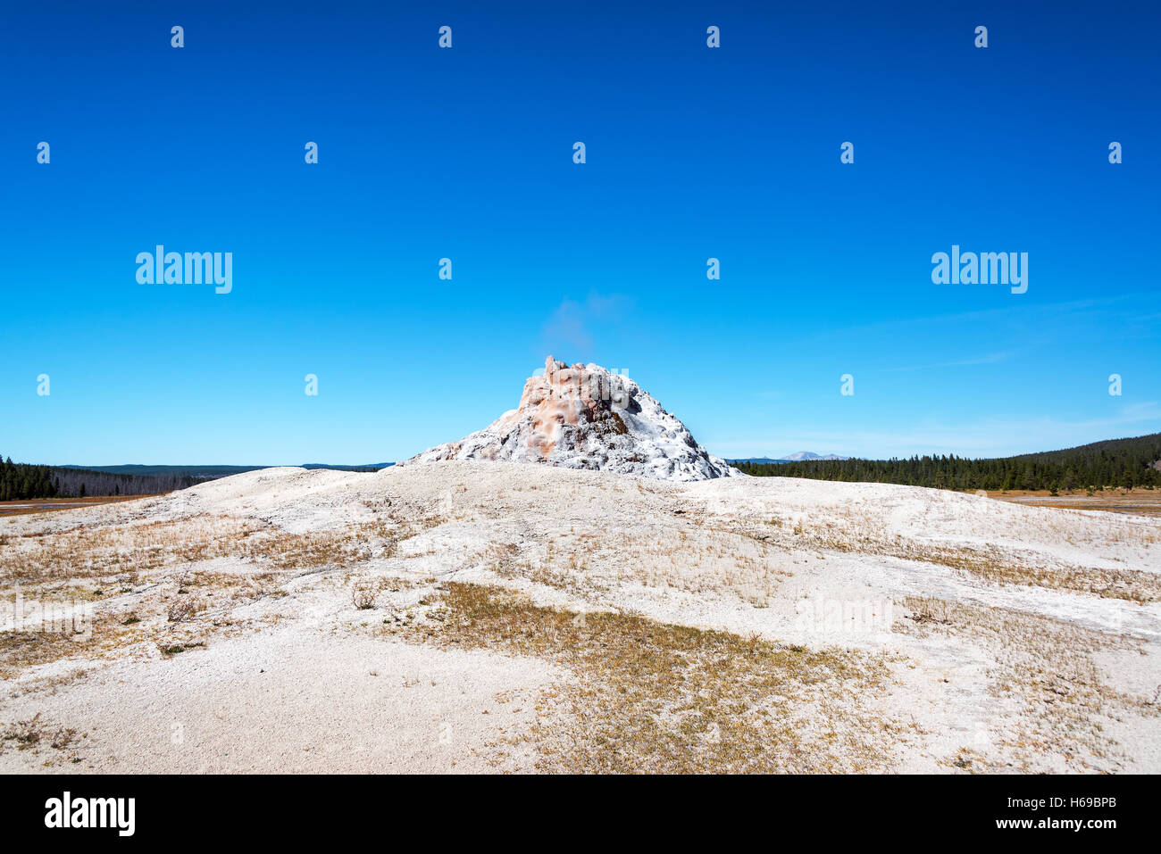 White Dome Geyser seen from the Firehole Lake Drive in Yellowstone National Park Stock Photo