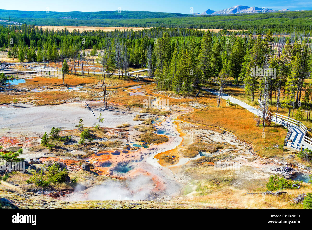 Landscape view of Norris Geyser Basin in Yellowstone National Park Stock Photo