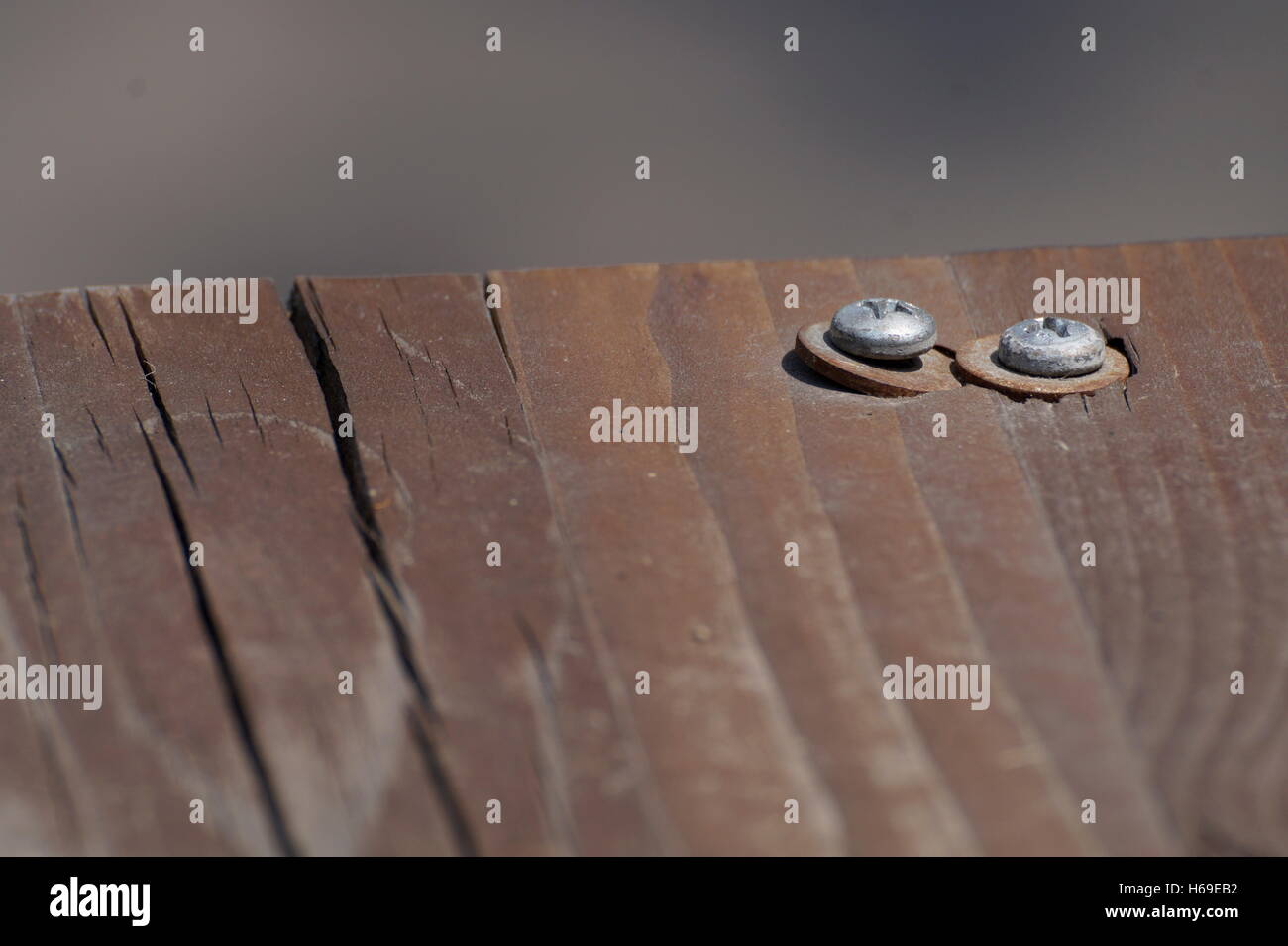screws bolts in the wood Stock Photo Alamy