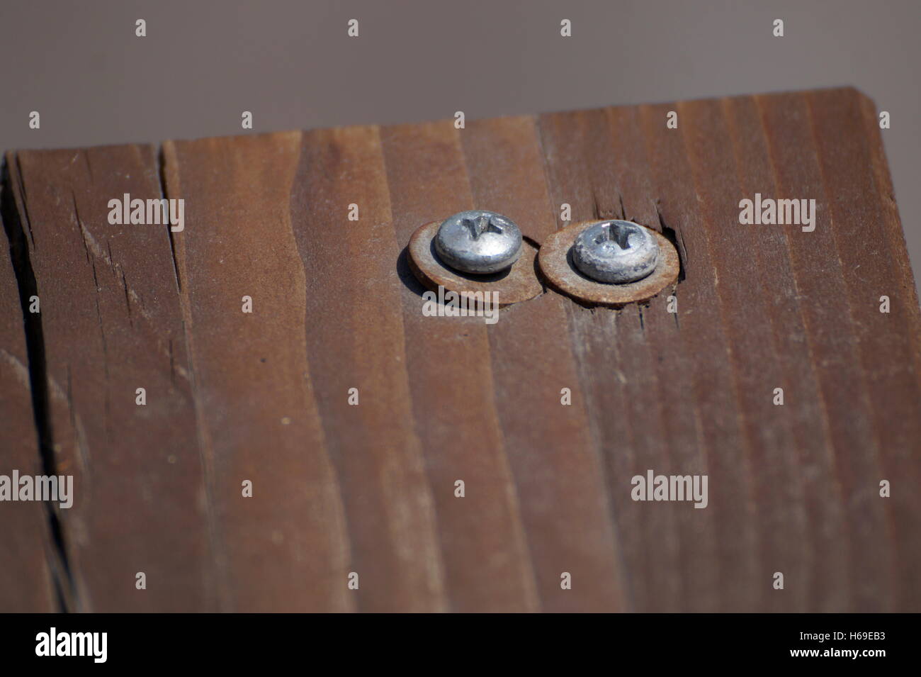 screws bolts in the wood Stock Photo Alamy
