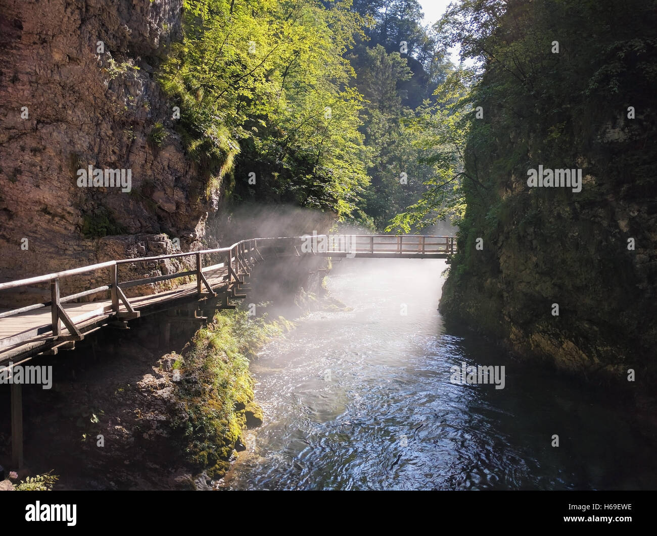 Bridge over Vintgar gorge and Radovna river near Bled in Slovenia Stock Photo