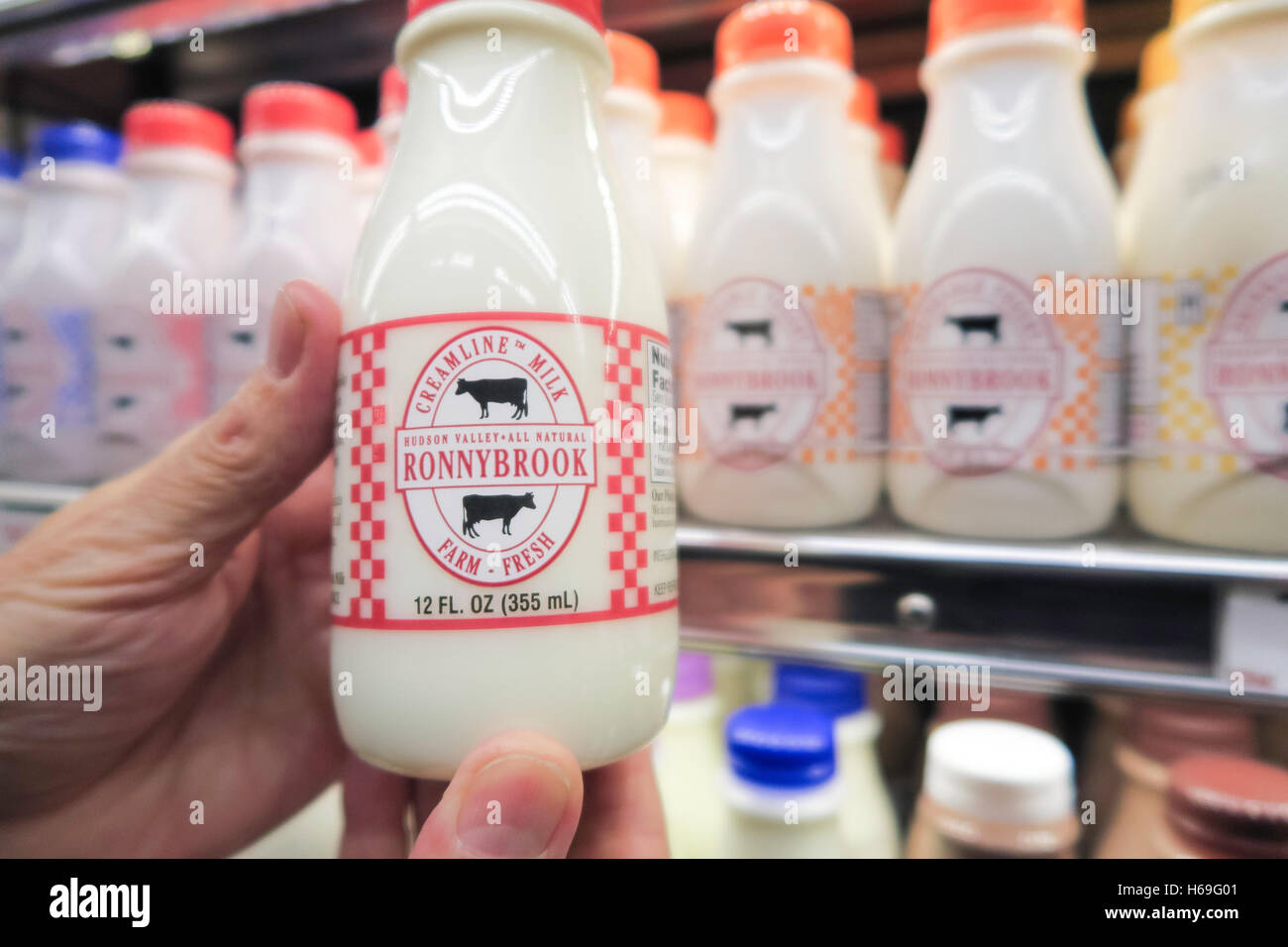 Bottles of Ronnybrook Milk, Grocery Store, USA Stock Photo Alamy
