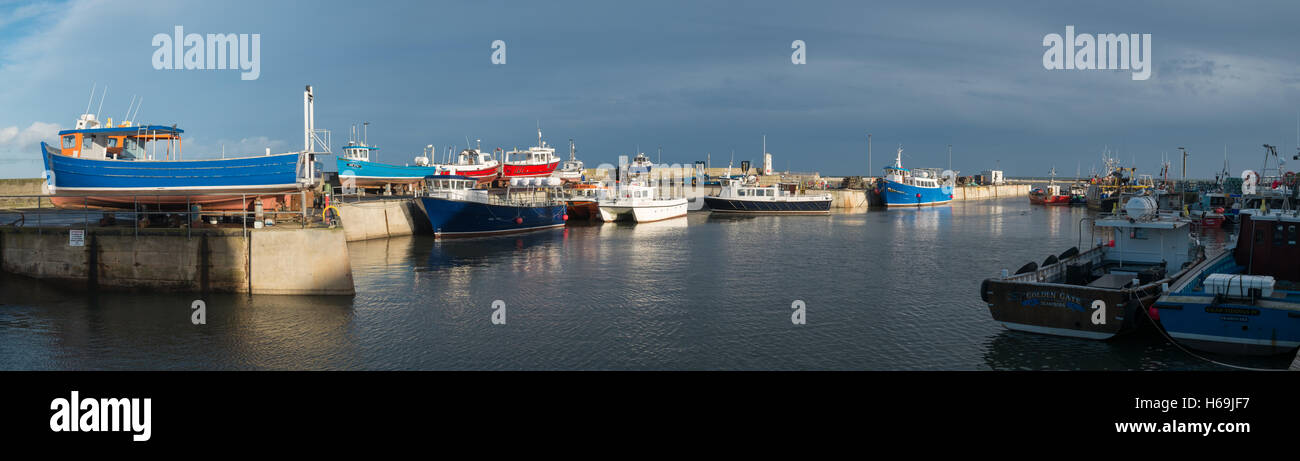 Panoramic view of fishing boats in Seahouses harbour Stock Photo - Alamy