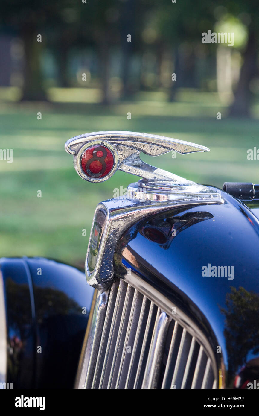 1938 Morris 8 Hood Ornament Rare Stock Photo Alamy