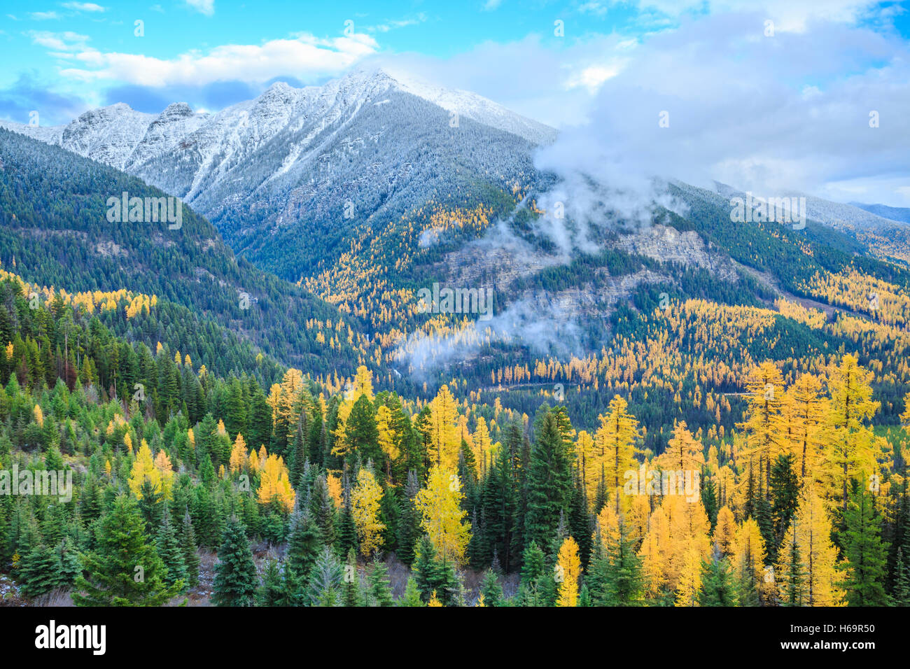 autumn larch in the swan range above morrell creek valley near seeley lake, montana Stock Photo
