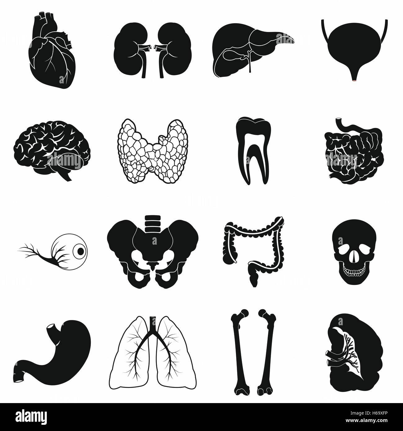 Internal organs black simple icons Stock Vector Image & Art - Alamy