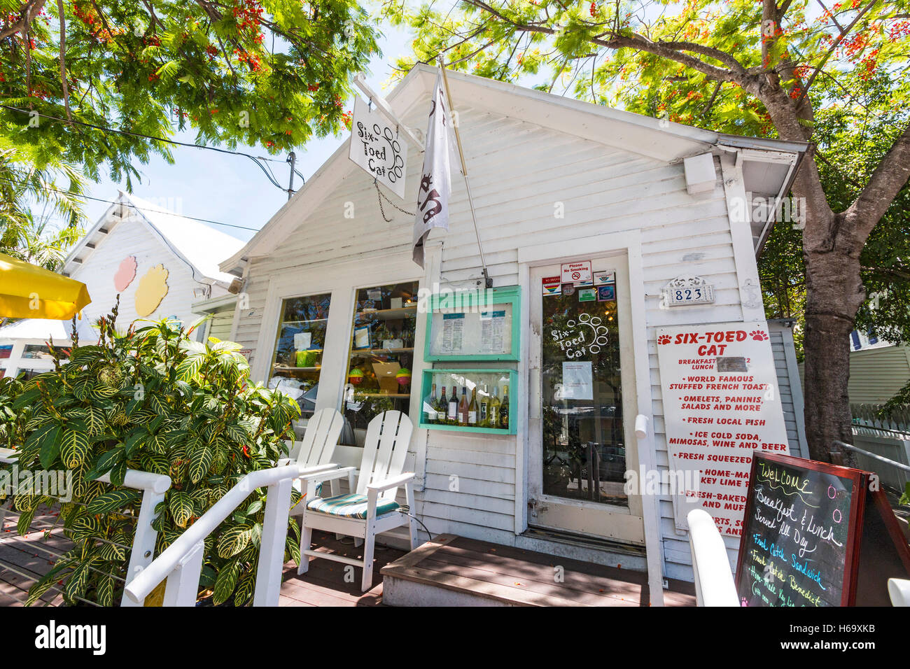 One of many shops in Key West's historic district focusing on the area's famous Hemingway six toed cats. Stock Photo