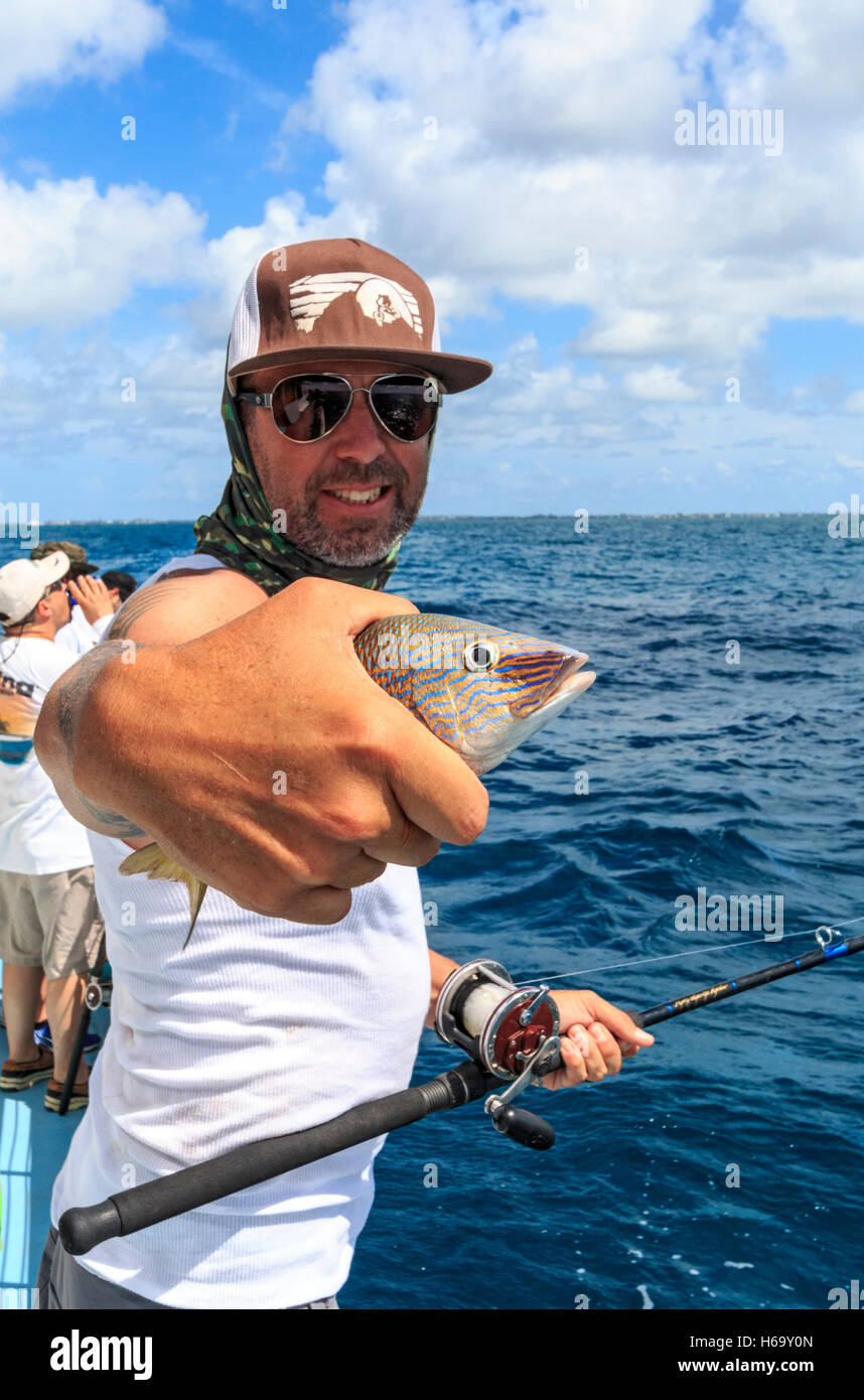 French Grunt caught on fishing party boat off Islamorada in the Florida Keys. Stock Photo