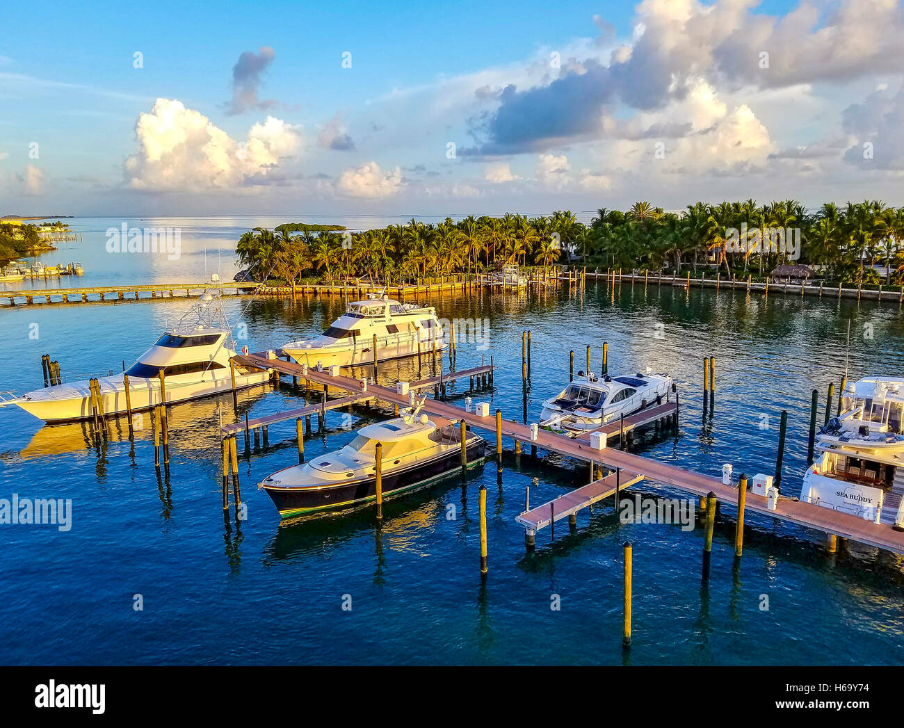 lighthouse grill - faro blanco resort & yacht club