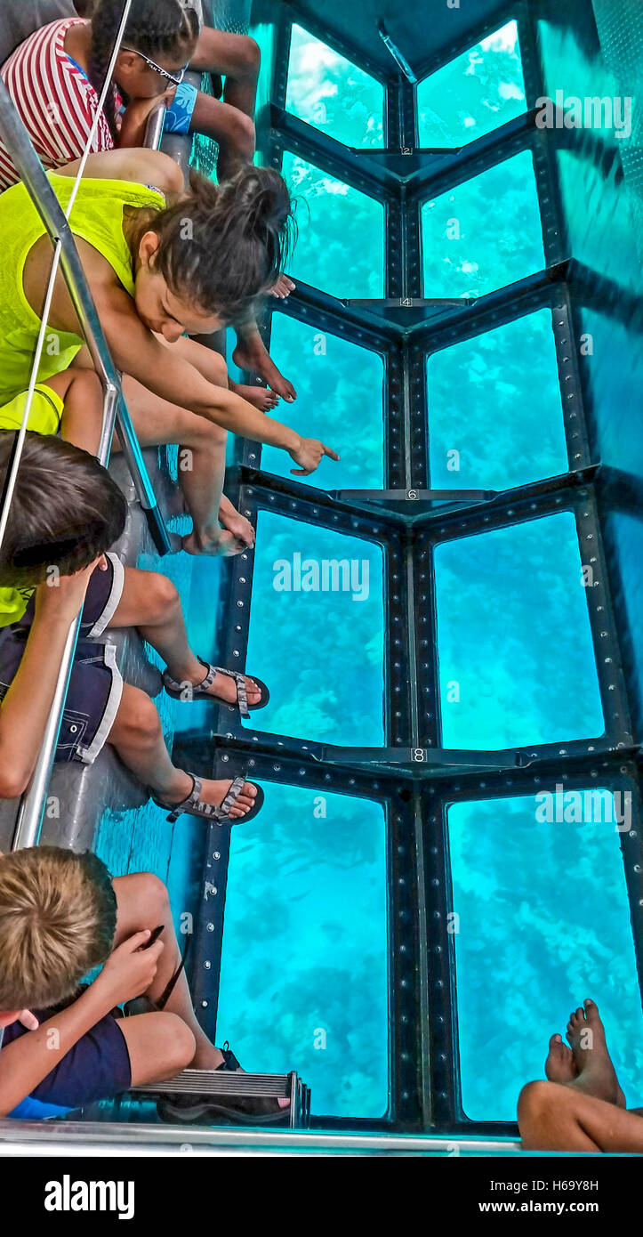 Glass bottom boat tour of Molasses Reef in John Pennekamp State Park on Key Largo Stock Photo