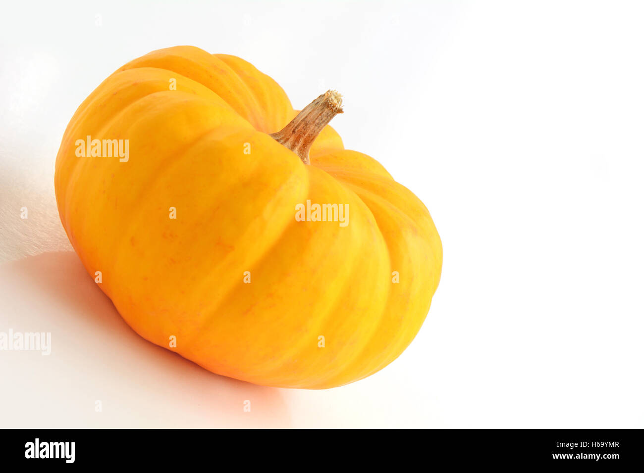 Golden miniature pumpkin on white background shot in natural light.  Horizontal format with room for your text. Stock Photo