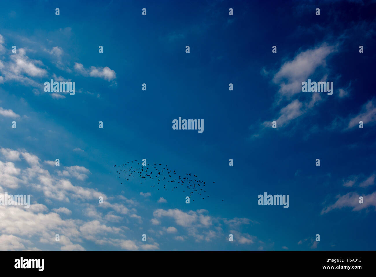Blue cloudy sky with white and grey clouds Stock Photo - Alamy