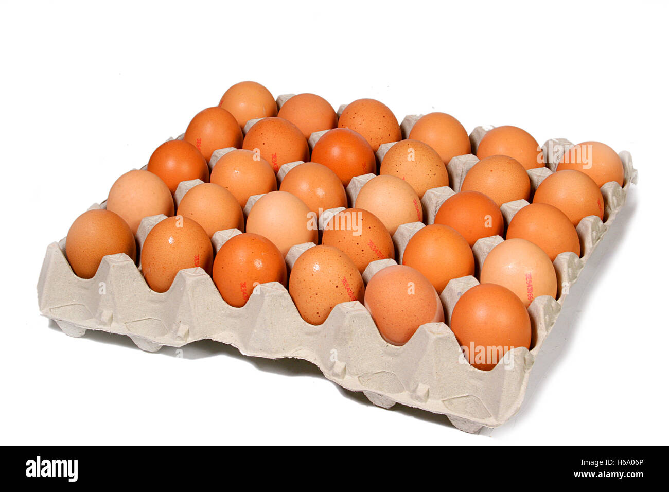 Duck egg cartons Cut Out Stock Images & Pictures - Alamy