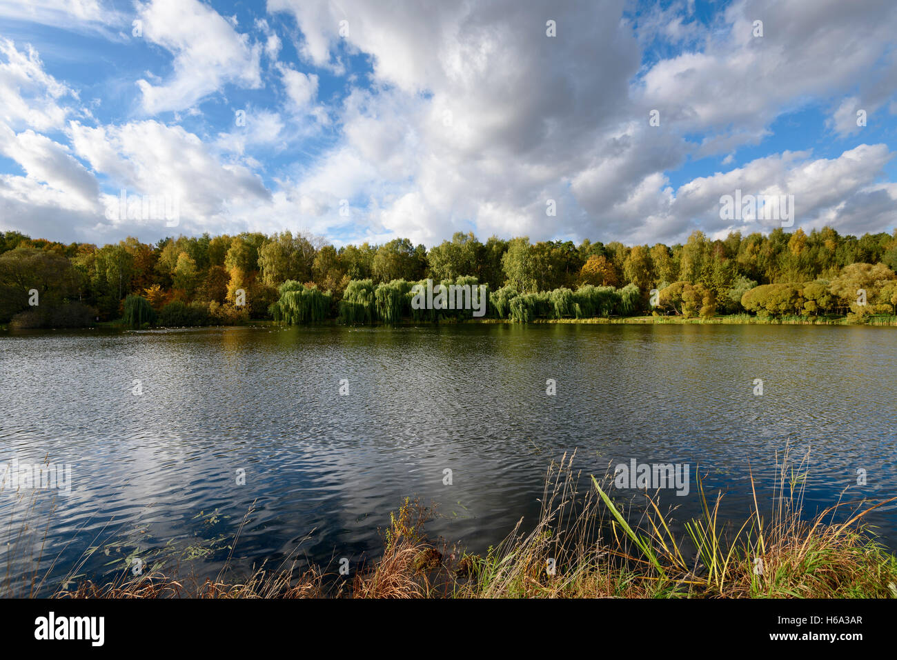 Landscape with reflection on lake trees, sky and clouds Stock Photo - Alamy
