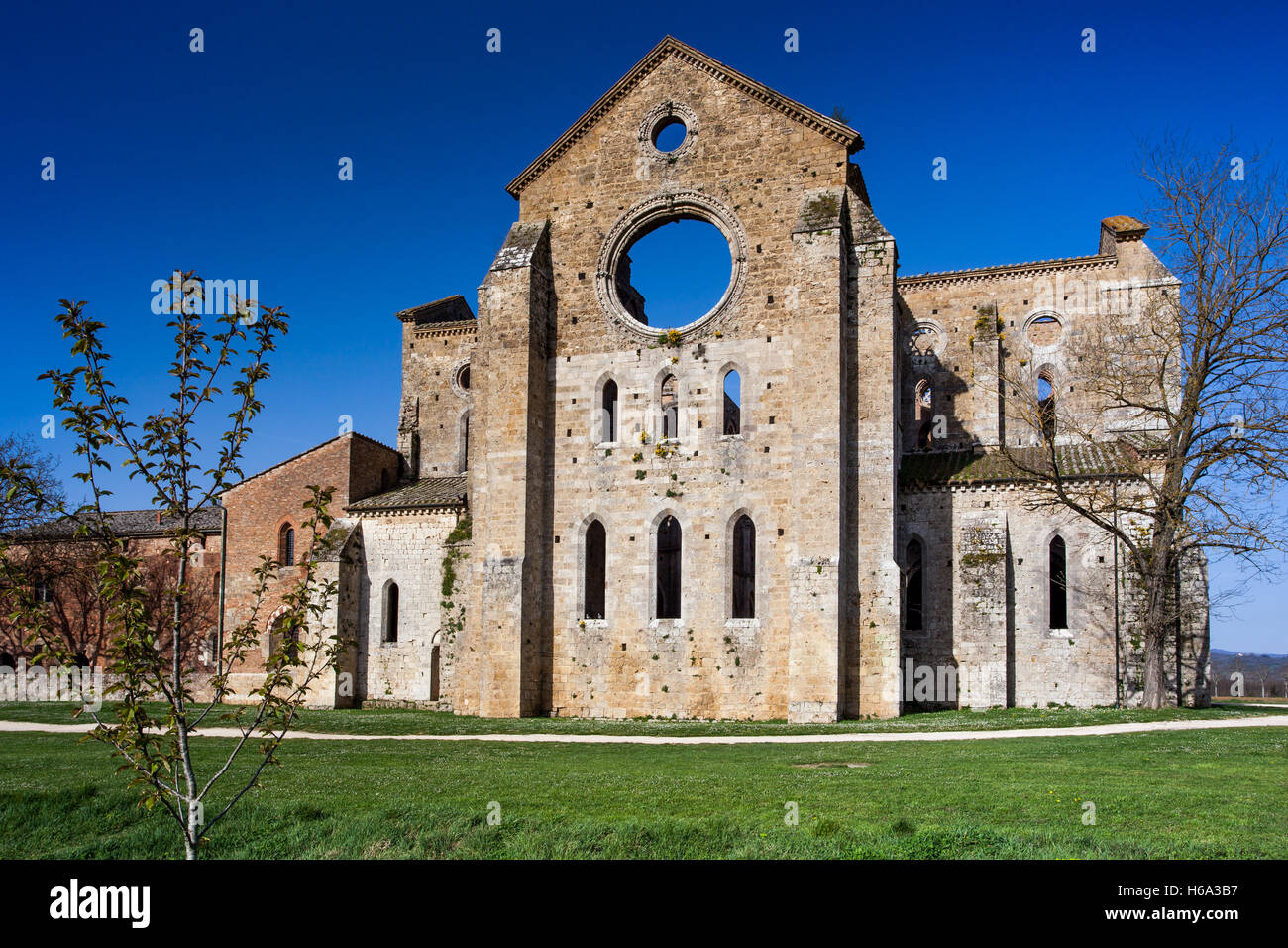 Gothic Cistercian style of Abbey of San Galgano province of Siena, Chiusdino, Tuscany, Italy Stock Photo