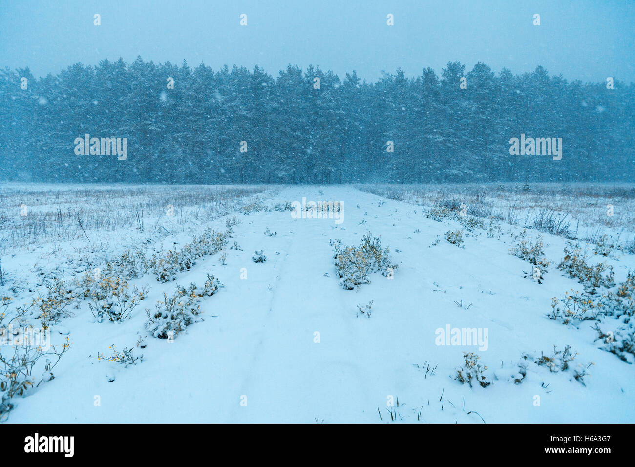 First snow storm hi-res stock photography and images - Alamy