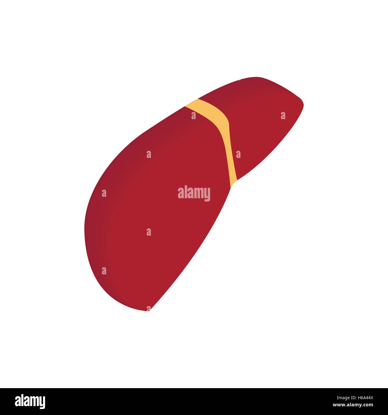 Real healthy liver Stock Vector Images - Alamy