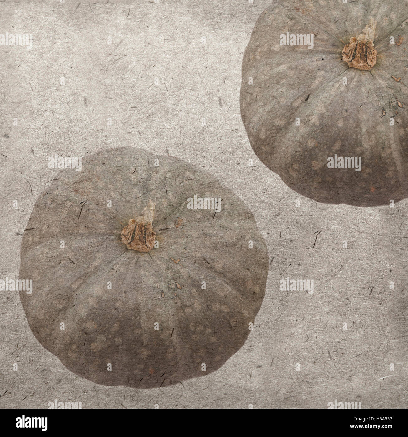 vintage wallpaper background with pumpkins Stock Photo - Alamy