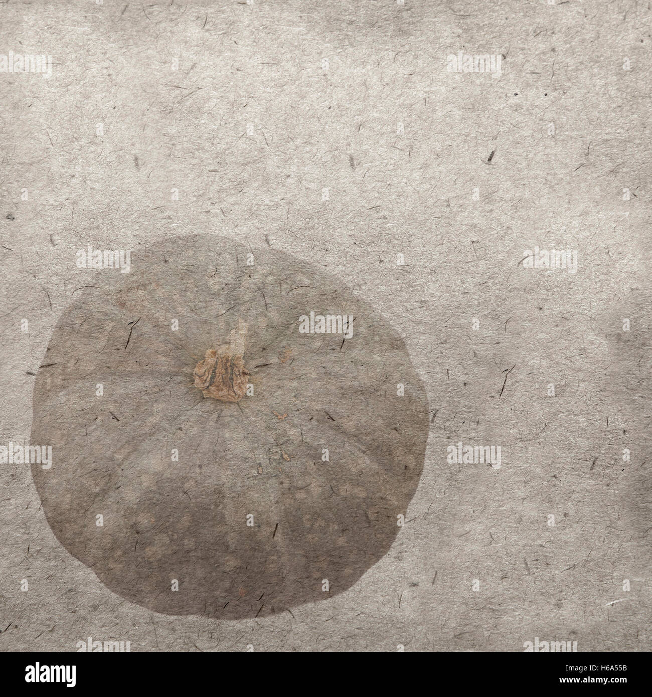 vintage wallpaper background with pumpkins Stock Photo - Alamy