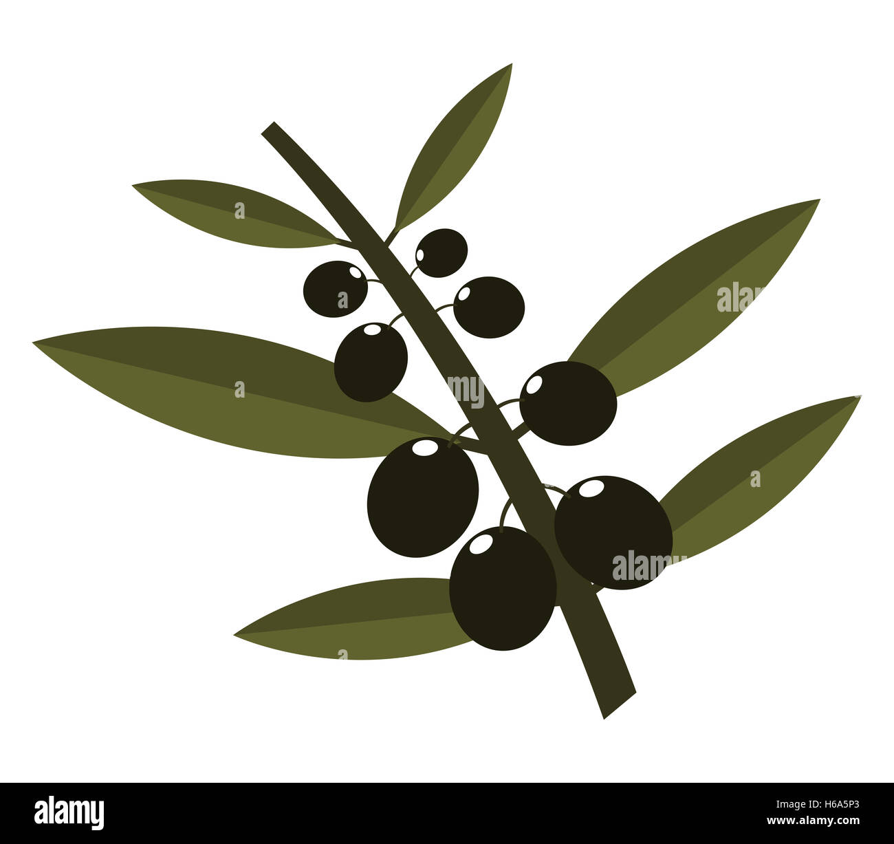 Olive tree silhouette Cut Out Stock Images & Pictures - Alamy