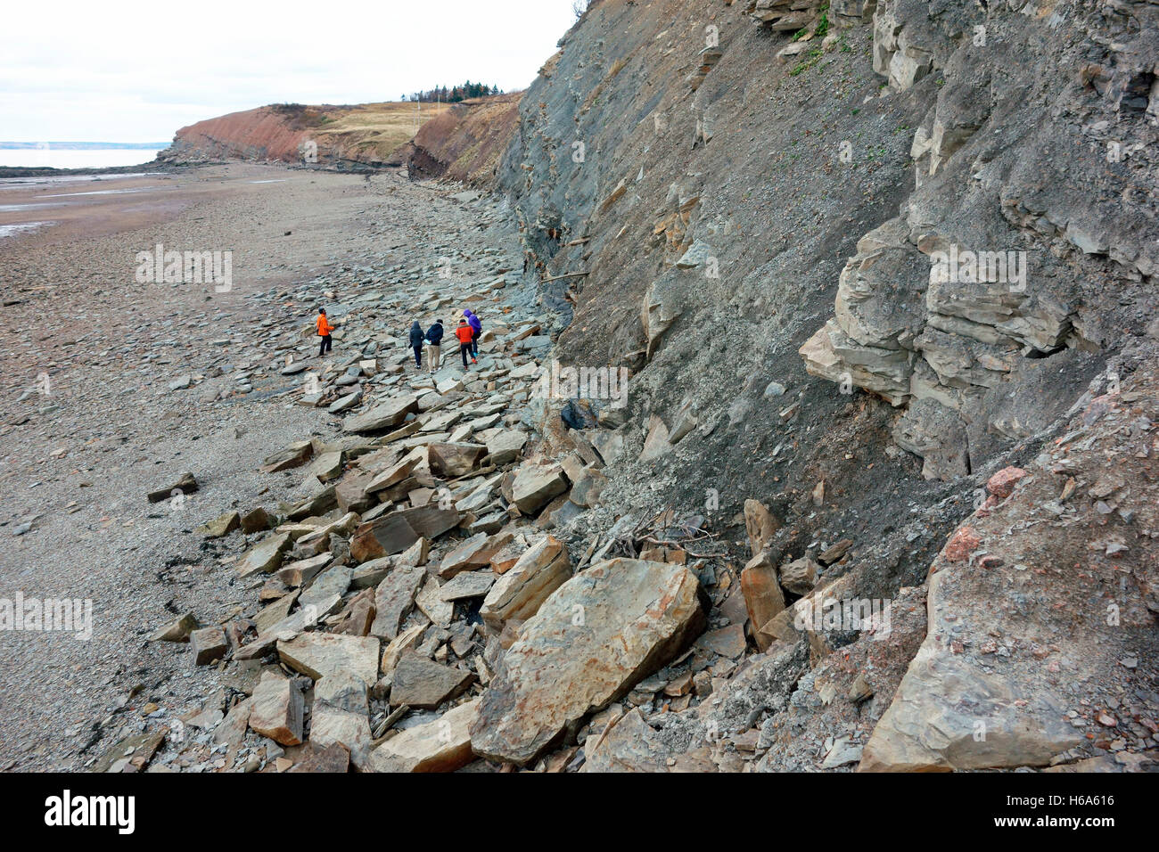 Cliffs of Fundy UNESCO Global Geopark