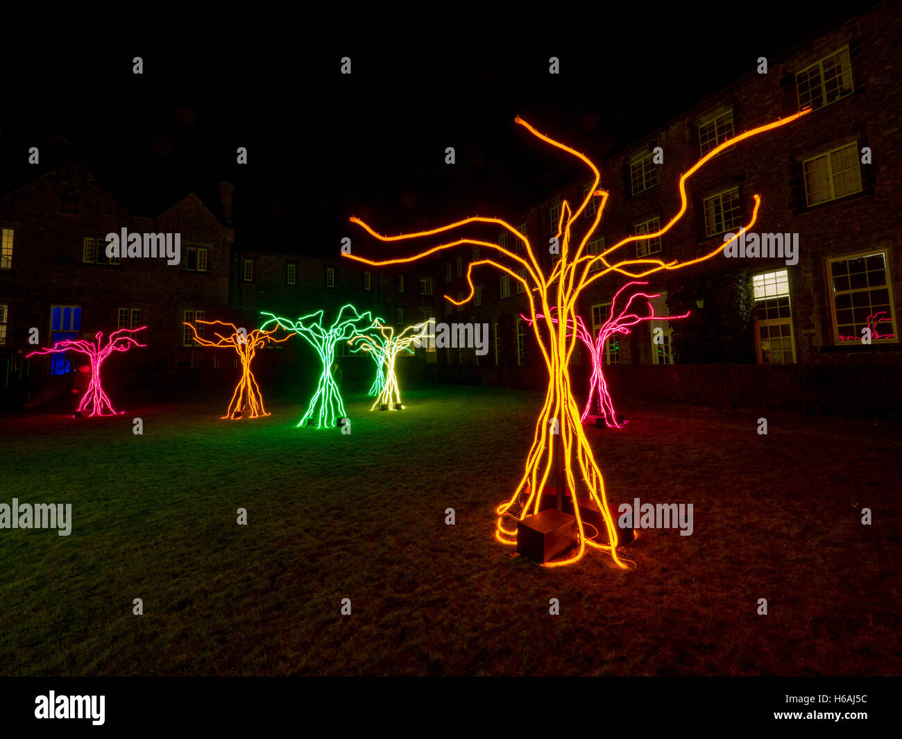 York, UK. 26th October, 2016. First night of the Illuminating York Festival which sees iconic buildings transformed using light painting and installations from international artists. Photo shows “Lumen” - a forest of light by David Ogle at York St John University. The festival runs until Saturday October 29th. Photo Bailey-Cooper Photography/Alamy Live News Stock Photo