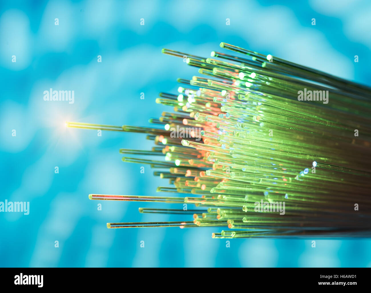 fiber optical network cable Stock Photo - Alamy