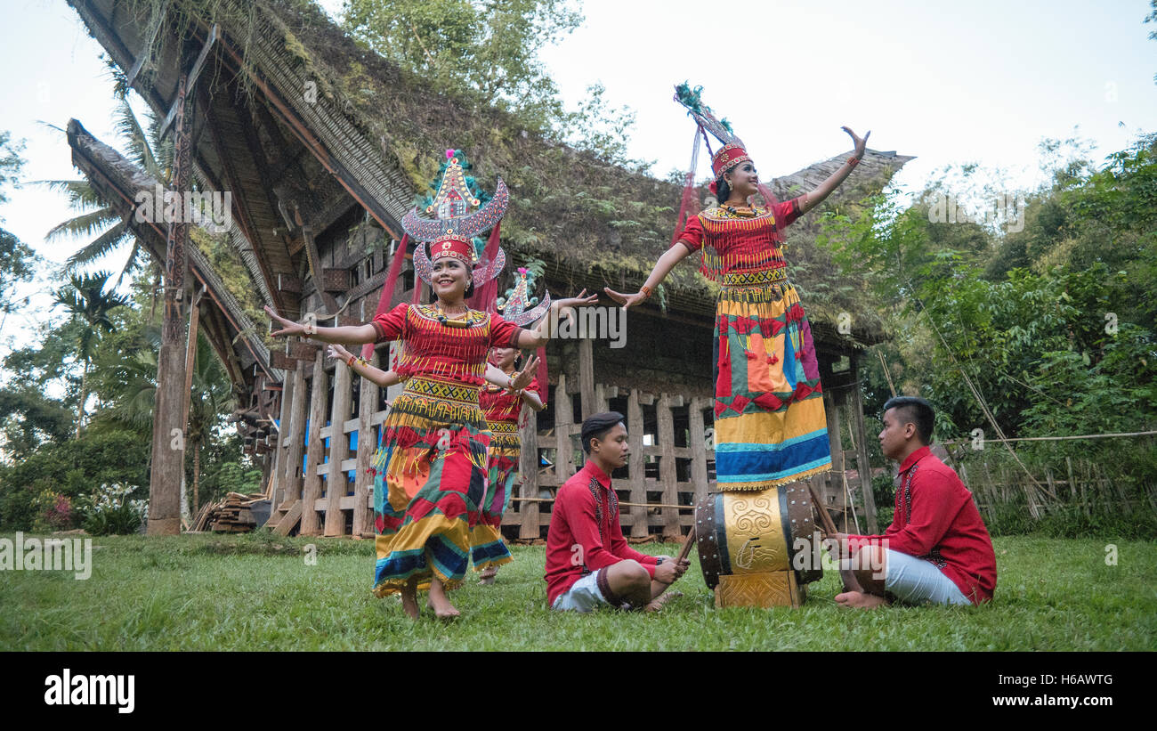 Toraja Ritual Toraja traditional dancer pose for camera with colourful costume. The ...