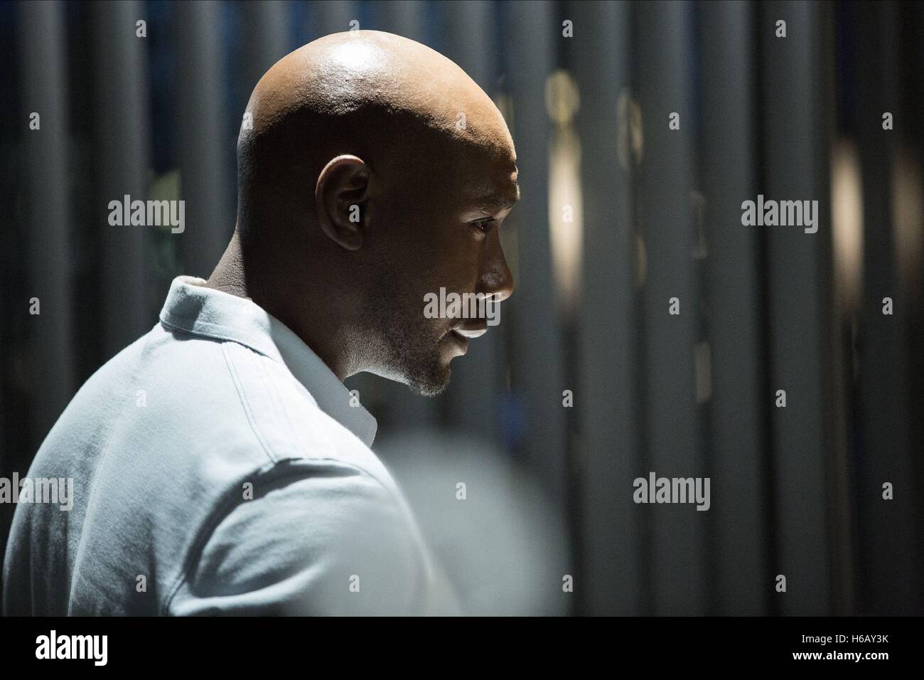 Morris Chestnut High Resolution Stock Photography and Images - Alamy