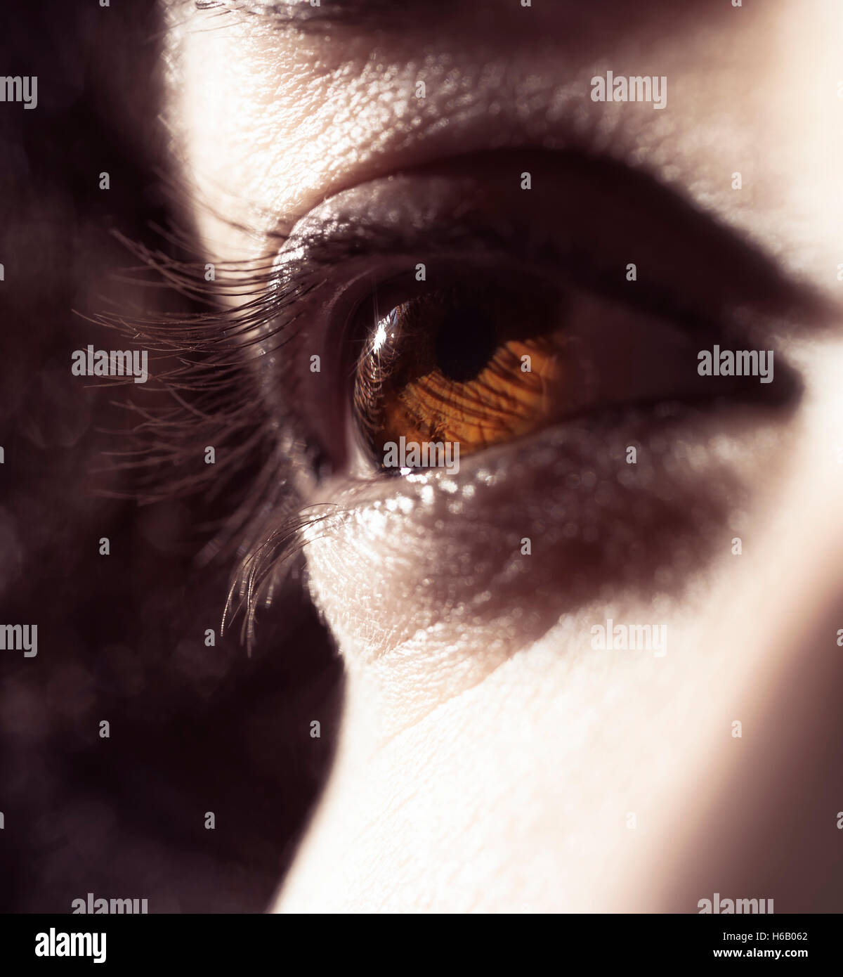 Closeup of woman brown eye in sunlight Stock Photo