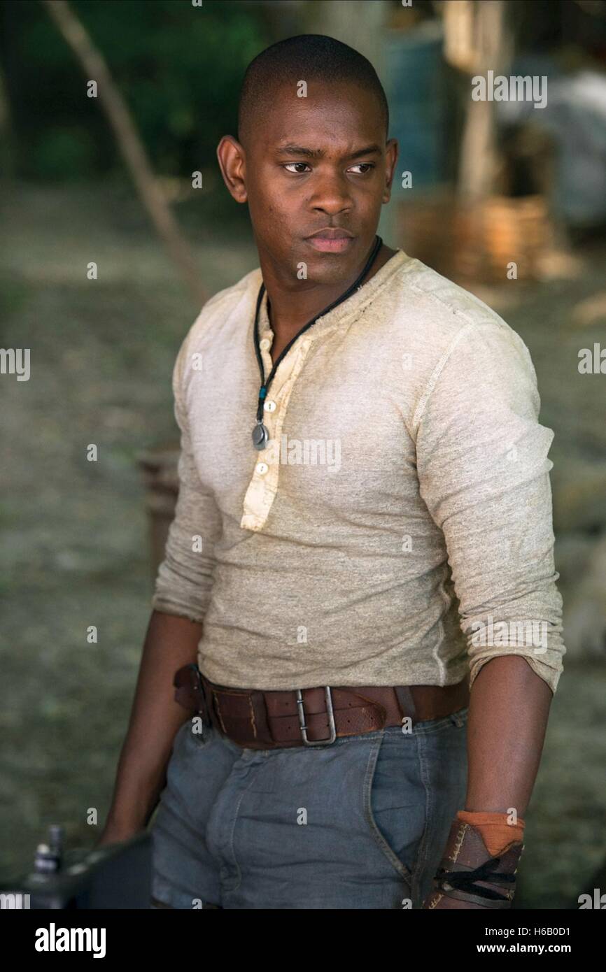 AML AMEEN THE MAZE RUNNER (2014 Stock Photo: 124402349 - Alamy