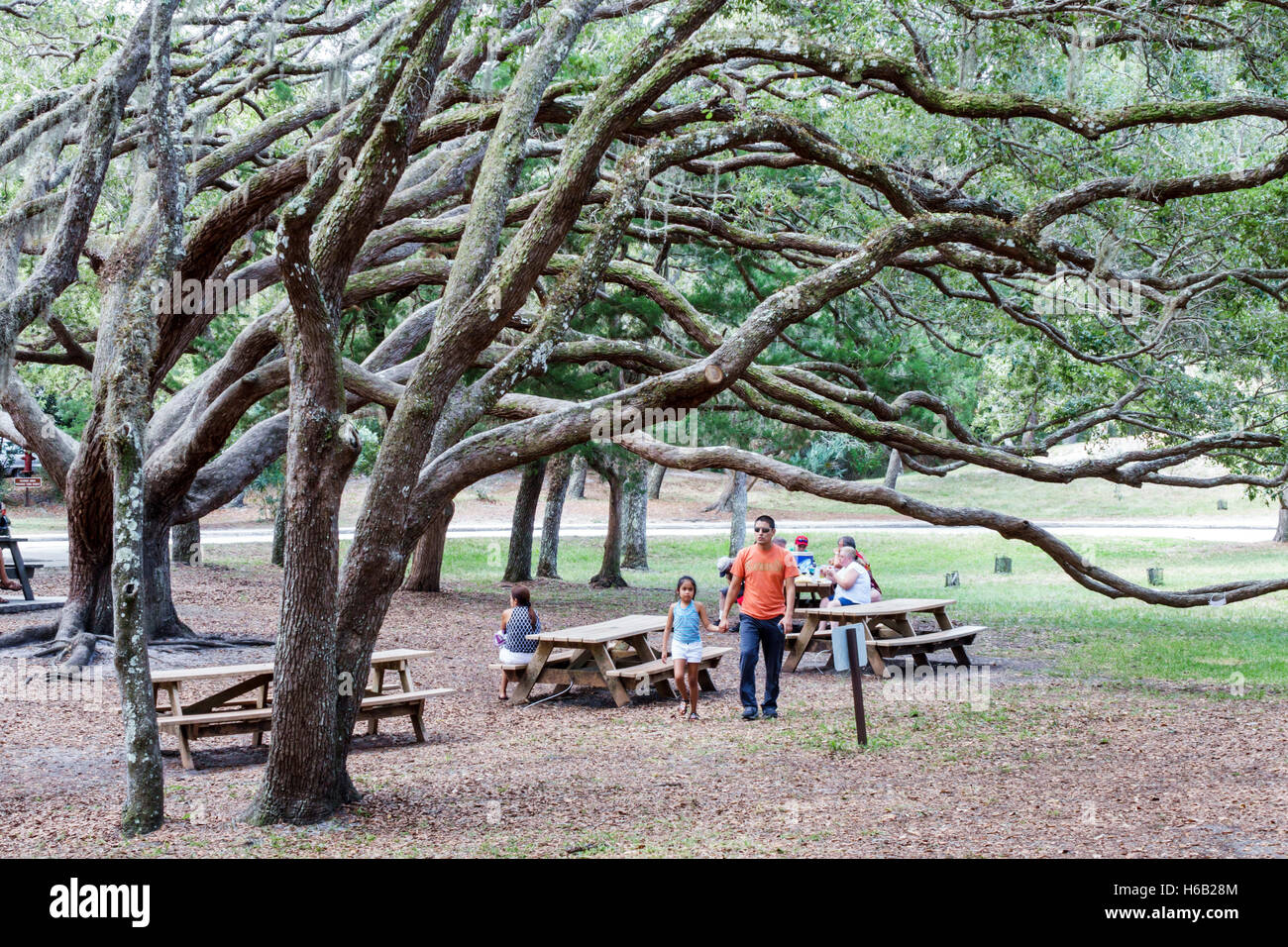 St. Saint Augustine Florida,Fort Matanzas National Monument,park,Matanzas Inlet water River water,live oak,trees,Hispanic Latin Latino ethnic immigran Stock Photo