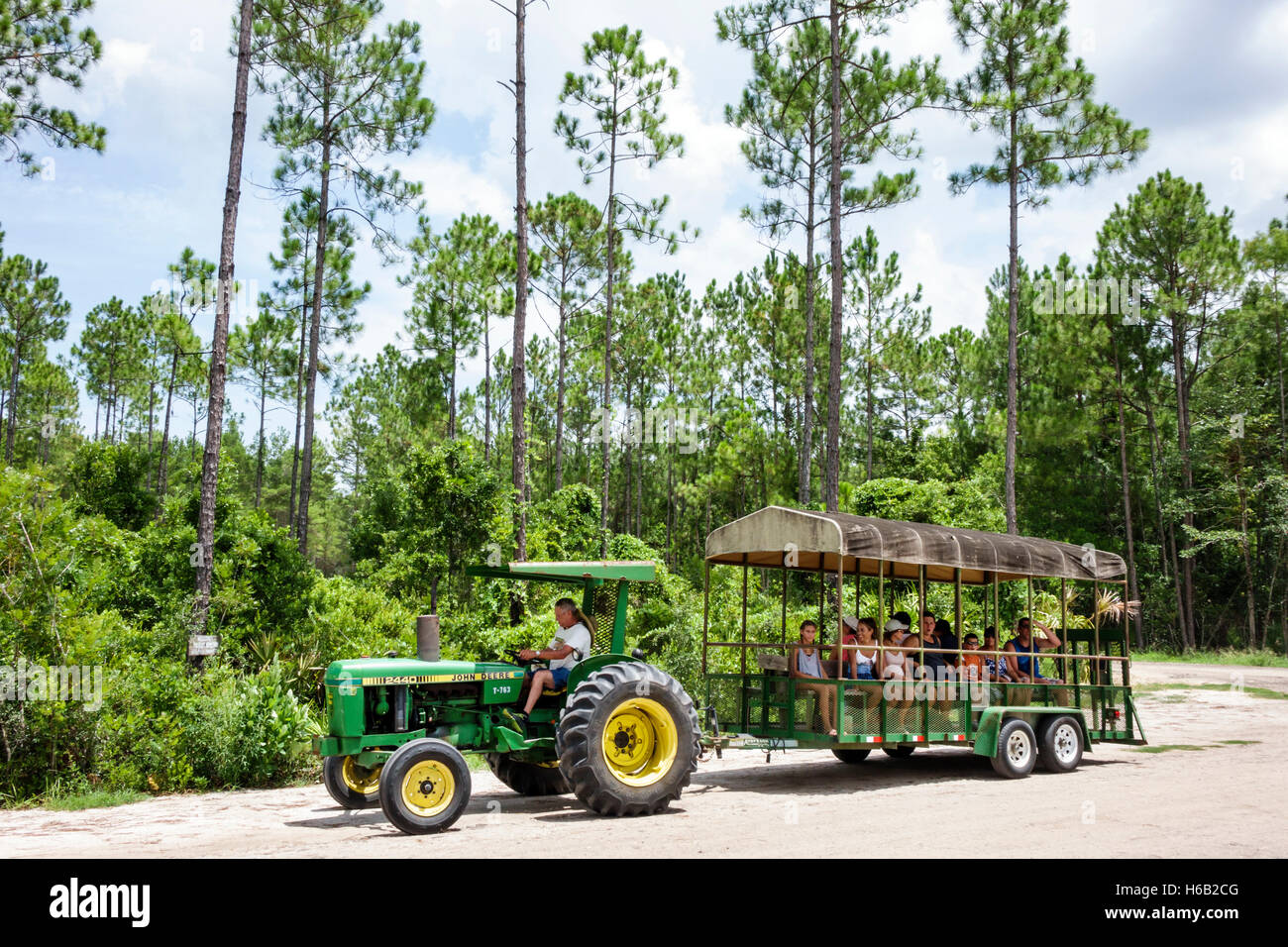 Florida Palm Coast,Florida Agricultural Museum,living history museum,farm homestead,tractor ride,FL160804025 Stock Photo
