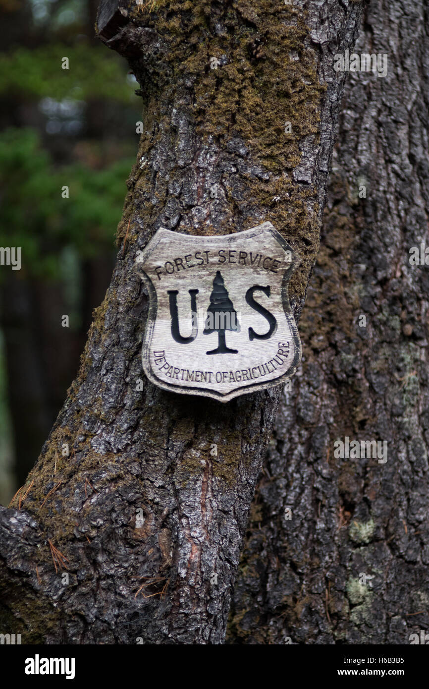 Weathered U.S. Forest Service sign hanging from a tree Stock Photo