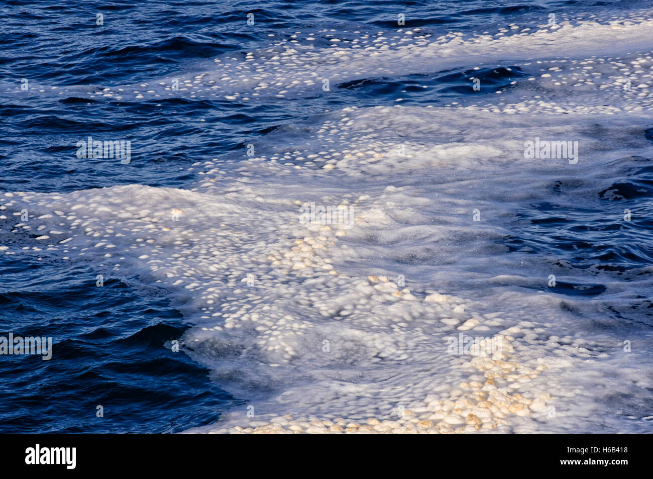 EUROPE, UNITED KINGDOM, UK, SCOTLAND, ORKNEY, Yesnaby, detergent pollution in the sea Stock Photo