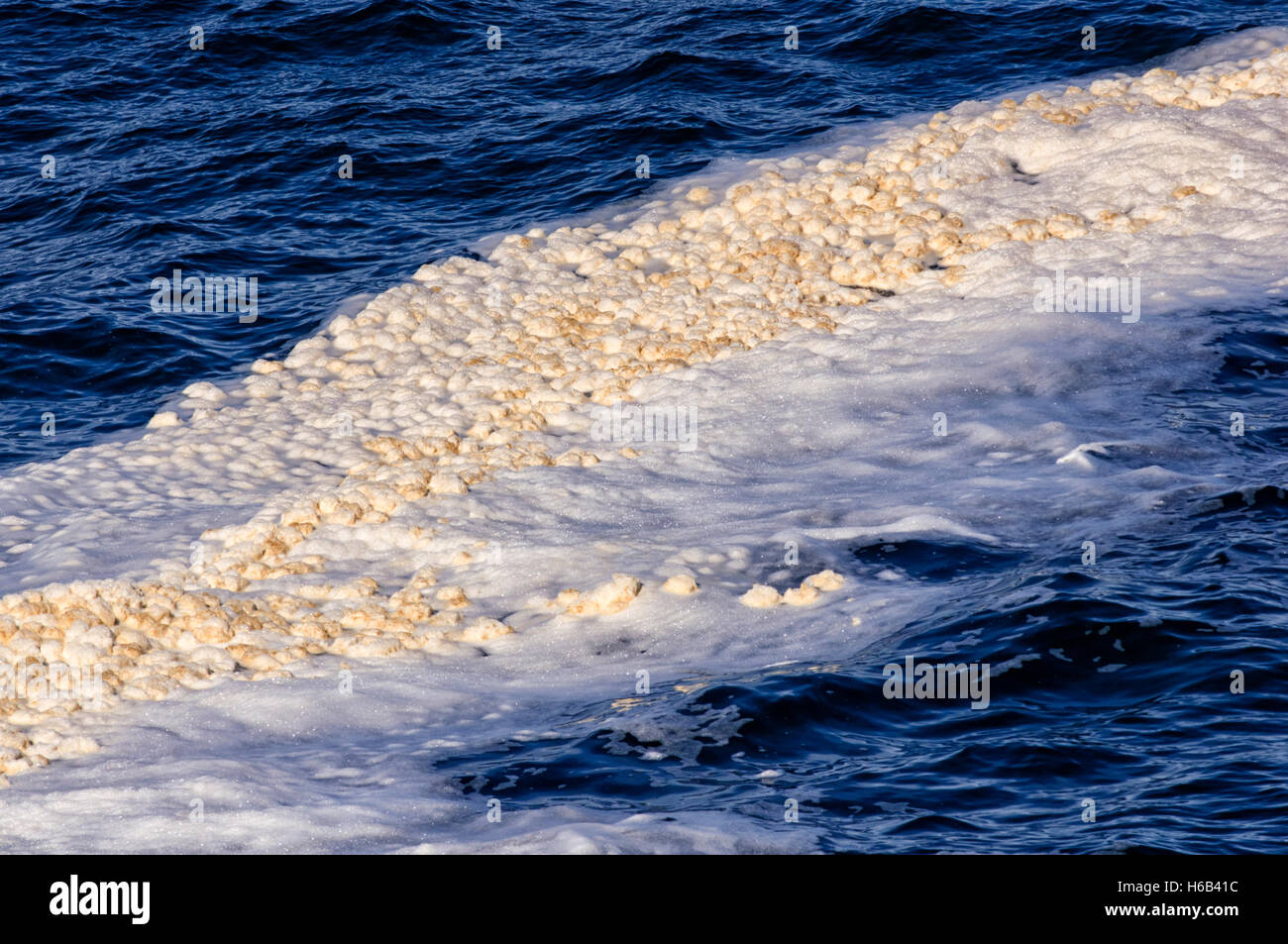 EUROPE, UNITED KINGDOM, UK, SCOTLAND, ORKNEY, Yesnaby, detergent pollution in the sea Stock Photo