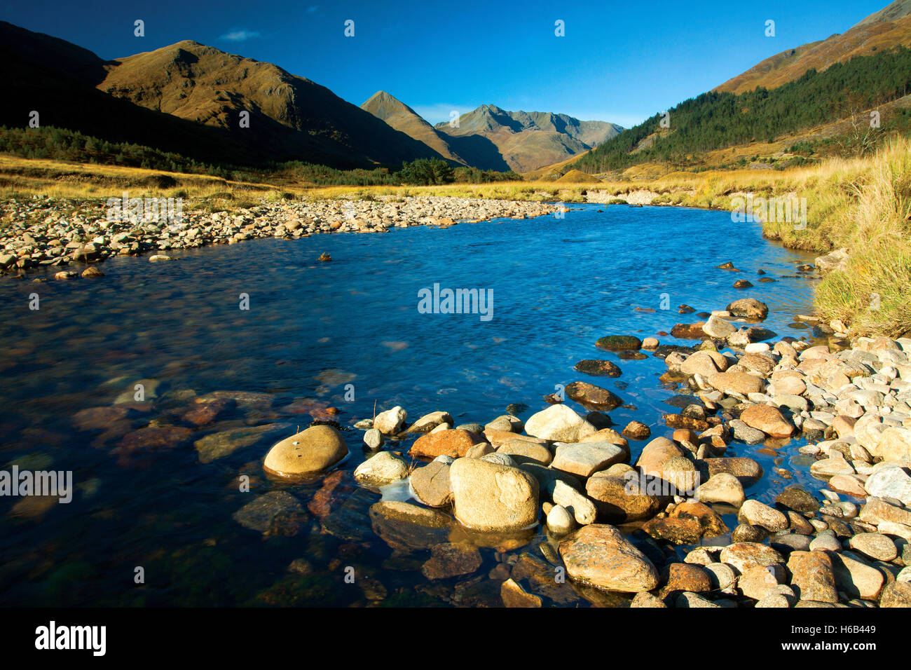 The Saddle and the Forcan Ridge above the River Shiel and Glen Shiel, Kintail, Skye & Lochalsh, Highland Stock Photo