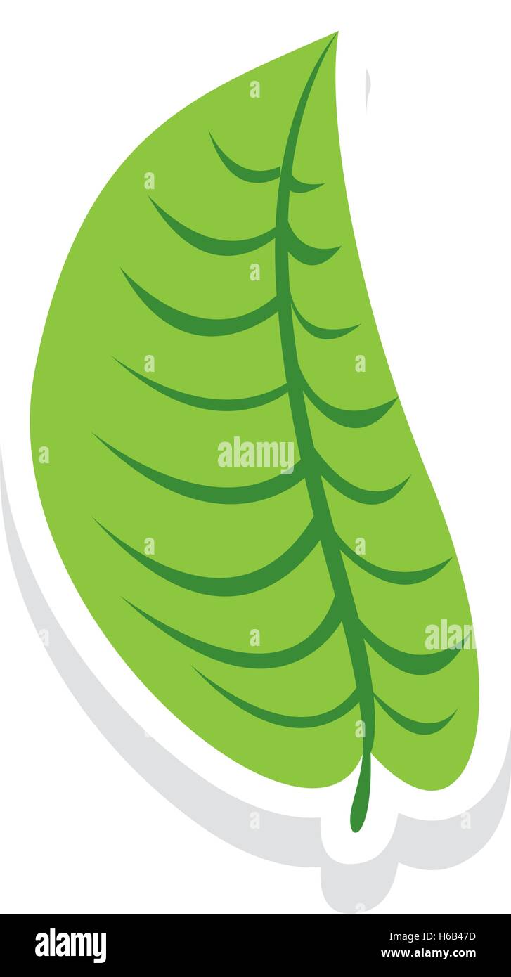 simple leaf icon image Stock Vector Image & Art - Alamy