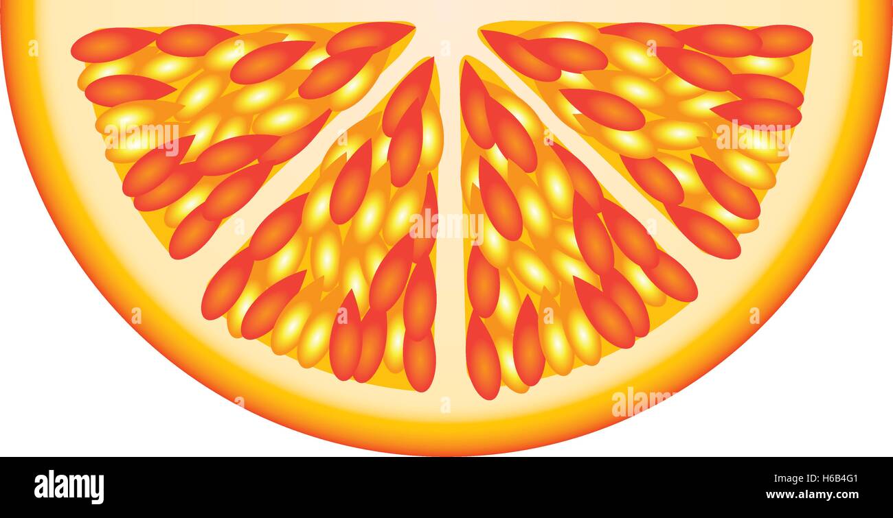 orange fruit icon image Stock Vector Image & Art - Alamy