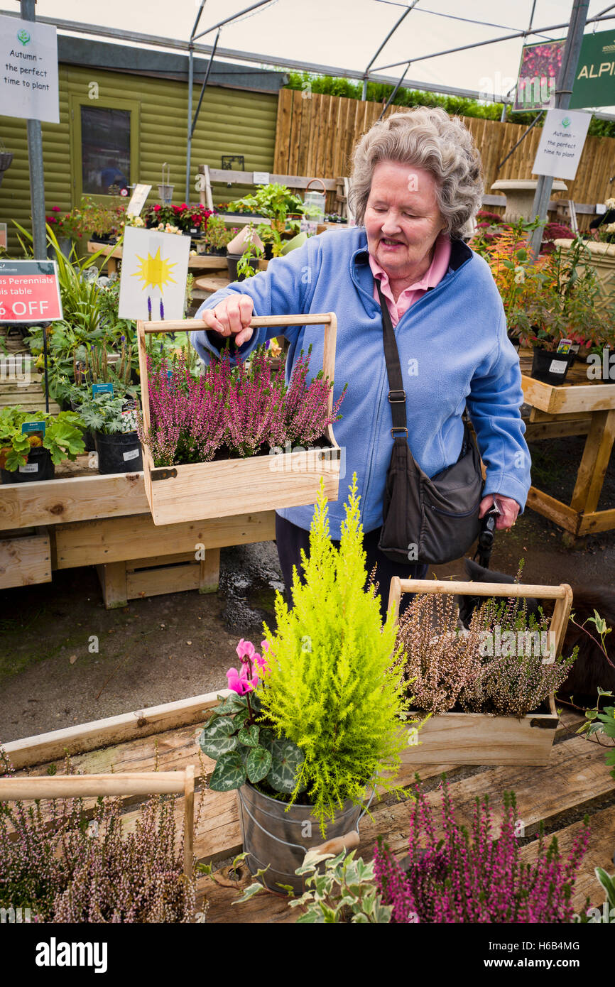 Shopping at a garden centre hi-res stock photography and images - Alamy