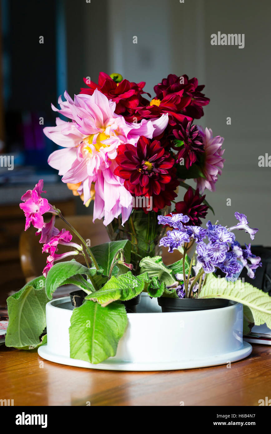 Cut flowers on a kitchen table in October Stock Photo
