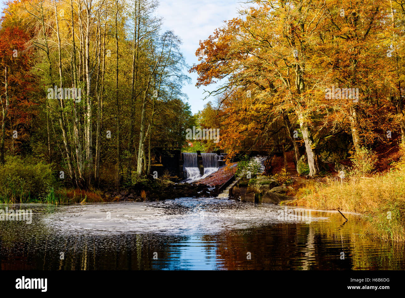 Woodland landscape with waterfall and fish ladder in fall. The river ...