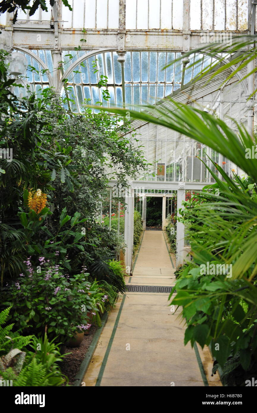 Indoor botanical garden hi-res stock photography and images - Alamy