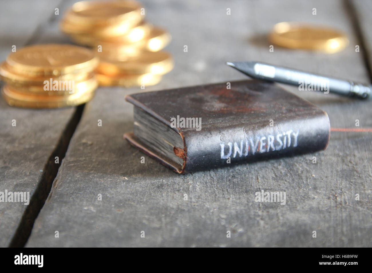University inscription on the book, vintage style Stock Photo - Alamy