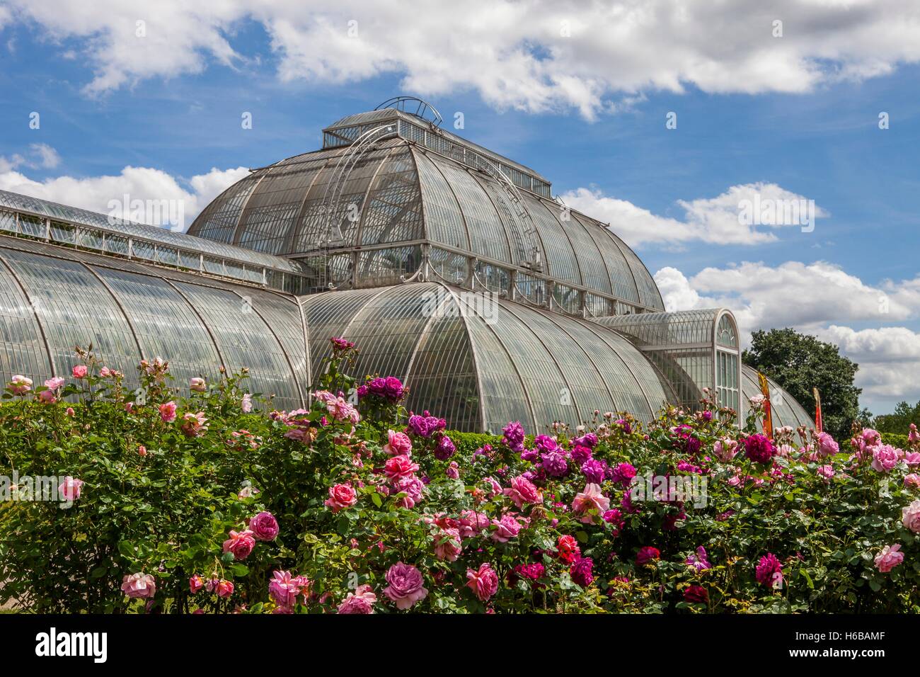 Kew Gardens. Palm House, Large greenhouse, outside view and rose garden