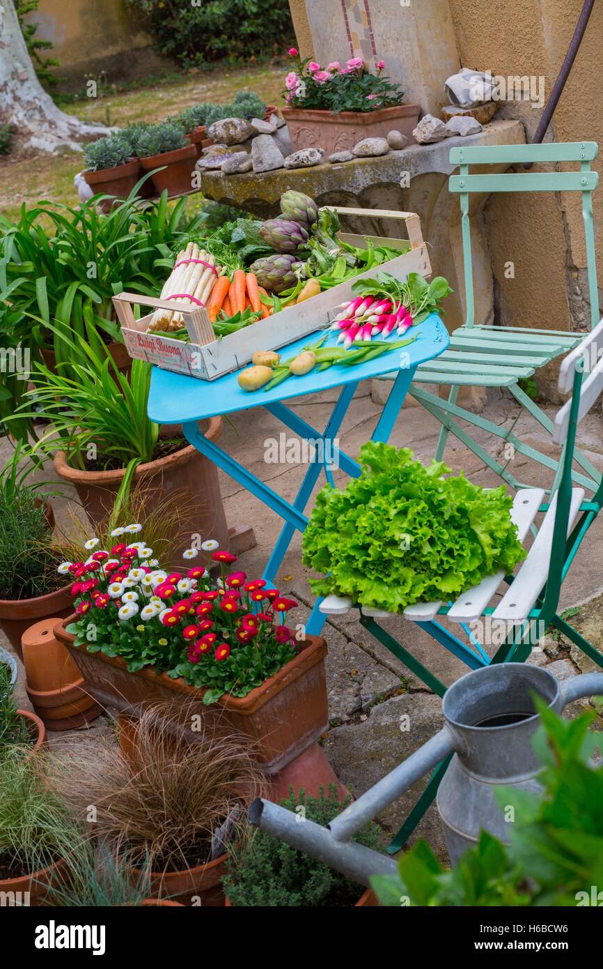 Vegetables on a garden terrace - France Stock Photo