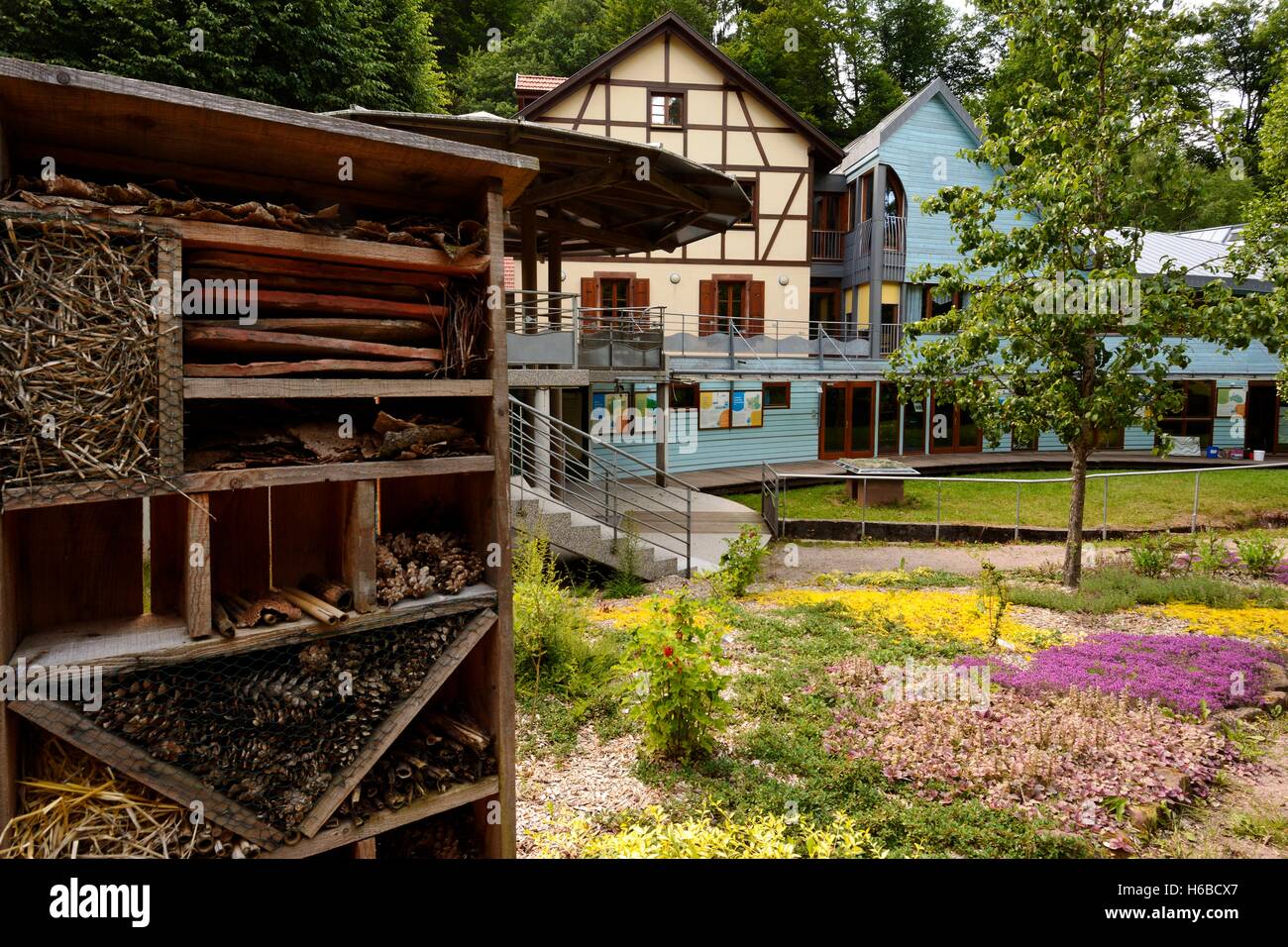 Environment House and shelter for insects, House of Water and River, Pond From Donnenbach , Frohmuhl , Alsace, France Stock Photo