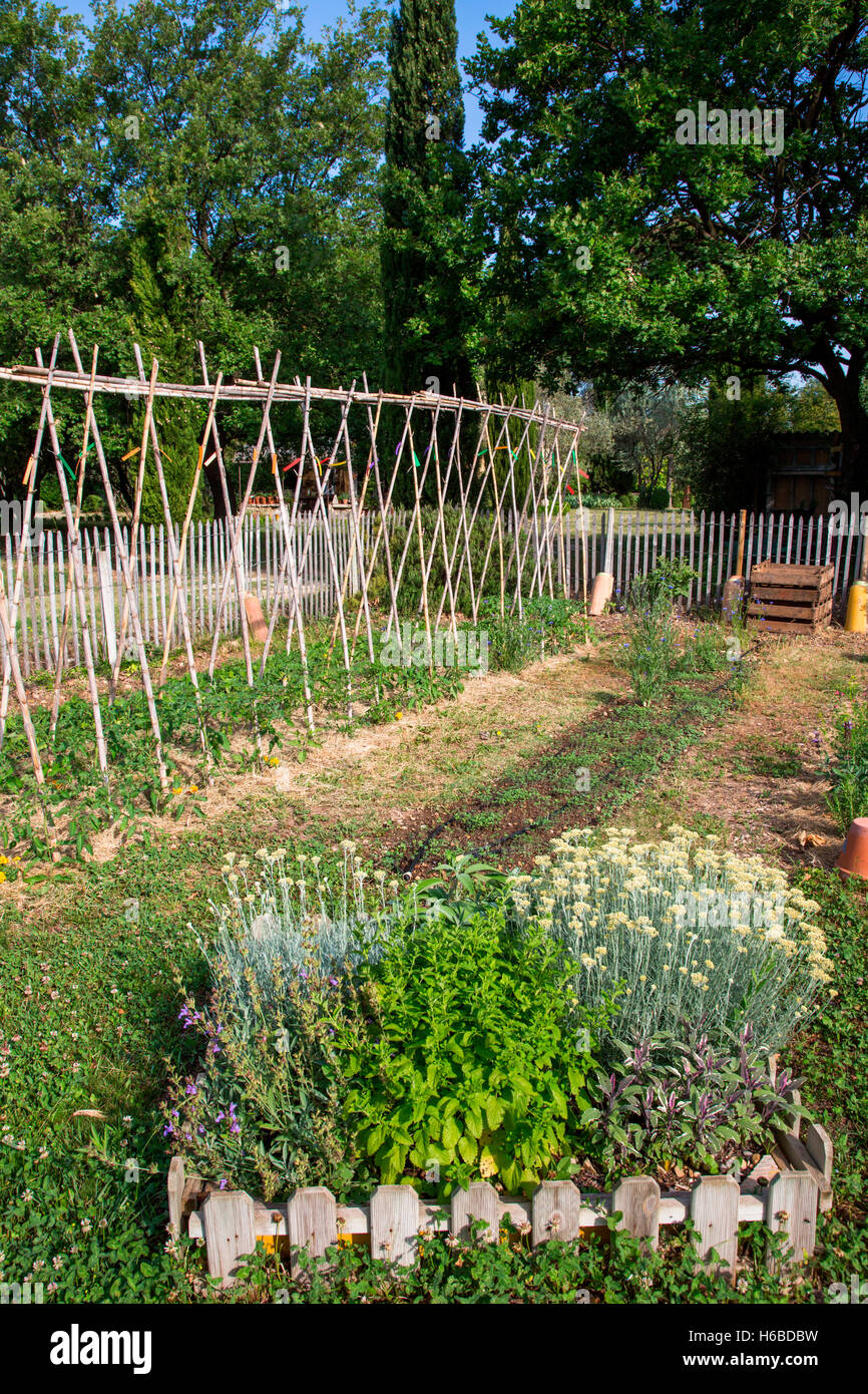 Herbs In A Square Foot Vegetable Garden And Tomatoes On Stakes Provence France Herbs In A Square Foot Vegetable Garden And Tomatoes On Stakes Provence France