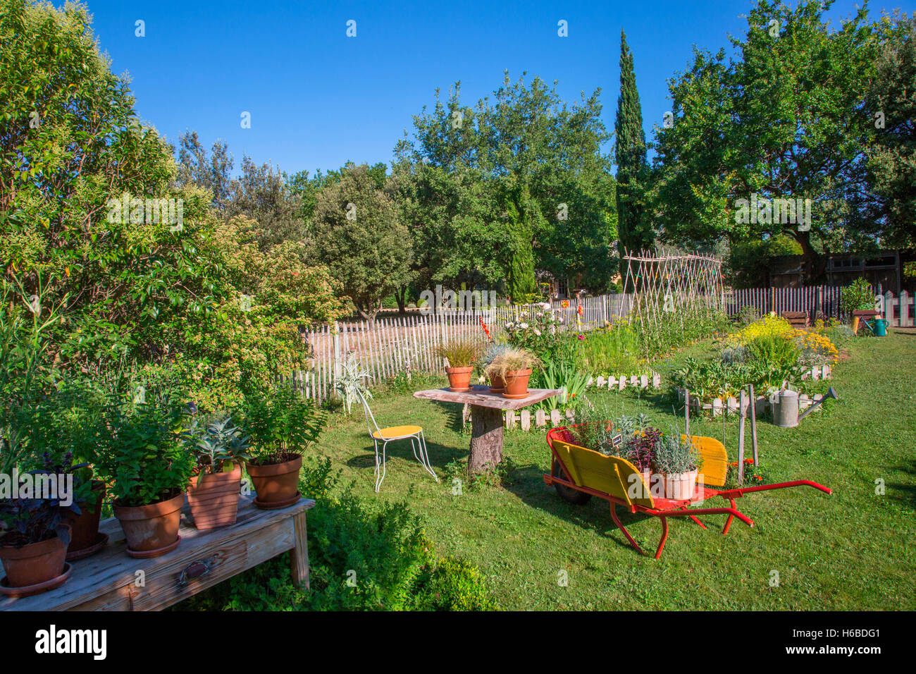 White Mustard Square Foot Kitchen Garden Tomatoes On Stakes Dahlias Cactus Wheelbarrow Table And Aromatic Plants In The Vegetable Garden Provence White Mustard Square Foot Kitchen Garden Tomatoes On Stakes Dahlias Cactus Wheelbarrow Table And Aromatic Plants In The Vegetable Garden Provence